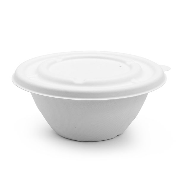 Sugarcane Bowls 1000ml bowl
