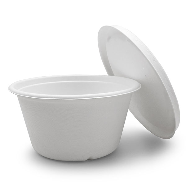 Sugarcane Bowls 1000ml Bowls