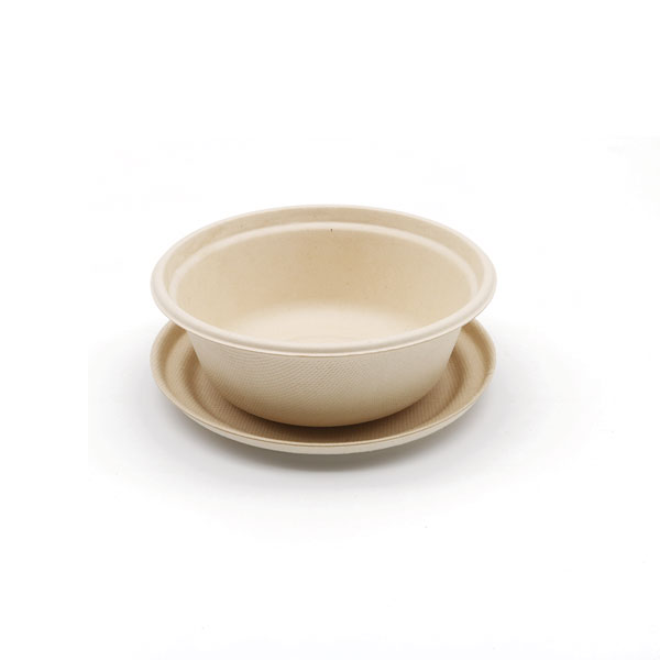 Sugarcane Bowls 350ml bowl