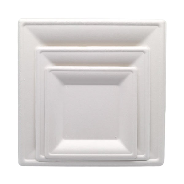 Sugarcane Plates&Trays Square Plate