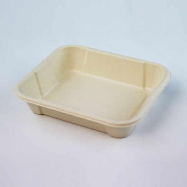 Sugarcane Plates&Trays Square Plate