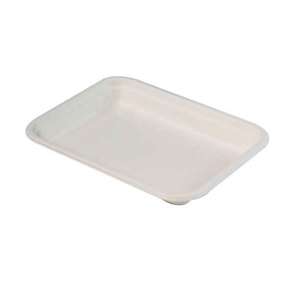 Sugarcane Plates&Trays Square Plate