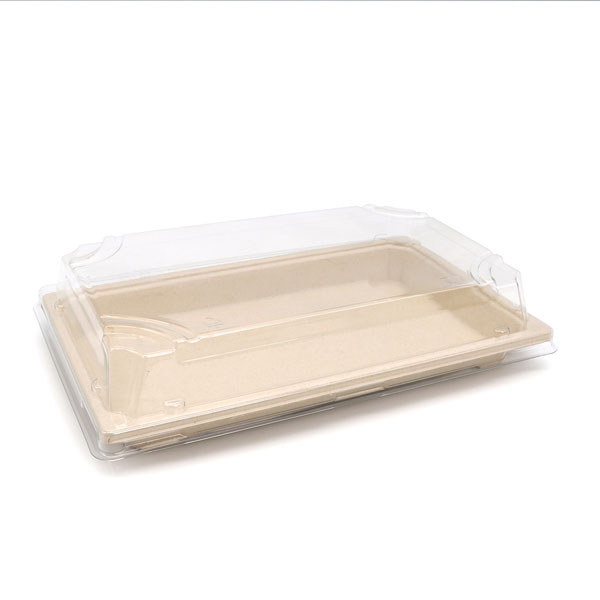 Sugarcane Plates&Trays Big sushi tray
